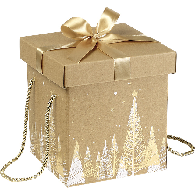 170100000196_1.jpg Caixa Cartão Cabaz / Presente Dourada Natal 18x18x19,5cm – Norpack - Image 1
