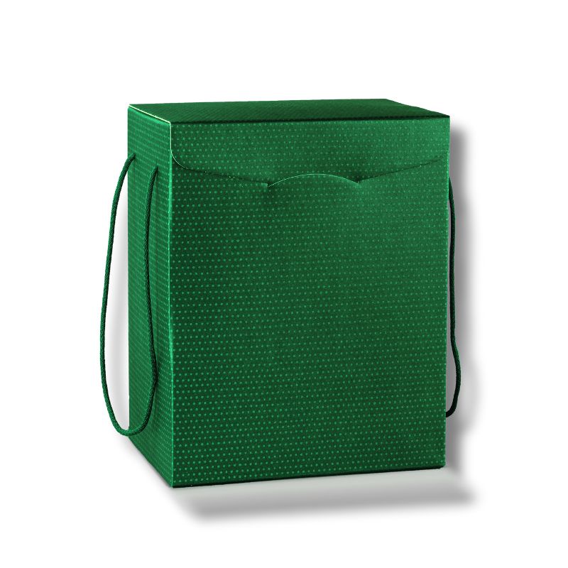 170100000428.jpg.jpg Caixa Cartão Presente Verde c/ bolinhas c/ cordão 330x250x350mm – Norpack - Image 1
