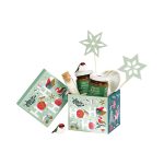Caixa Cartão Presente Natal Jardim de Inverno 12,5x11x10cm – Norpack