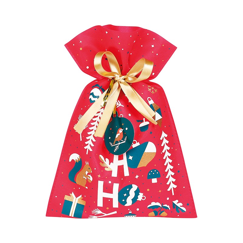 170800000103.jpg Saco TNT Natal Jardim de Inverno c/ Fita Cetim Ouro e Etiqueta 20x30cm – Norpack - Image 1