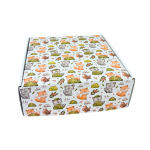 Caixa Cartão Postal Branca 200mmx200mmx70mm Padrão Raposas e Pássaros – Norpack
