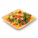 Pratos Folha Palma Quadrado 24x24x2cm Pack 25un – Norpack
