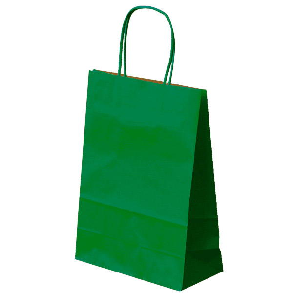 3001005984.png Saco Papel Kraft Verde 20+10x29cm c/ asa torcida – Norpack - Image 1