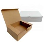 Caixa Cartão Expedição c/Reforço Fundo - Ideal para ECOMMERCE! – Norpack