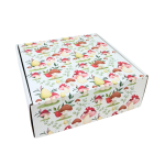 Caixa Cartão Postal Branca 200mmx200mmx70mm Padrão Cogumelos – Norpack