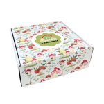 Caixa Cartão Postal Branca 250mmx250mmx90mm Padrão Cogumelos + Logo – Norpack