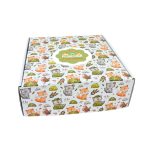 Caixa Cartão Postal Branca 200mmx200mmx70mm Padrão Raposas e Pássaros + Logo – Norpack